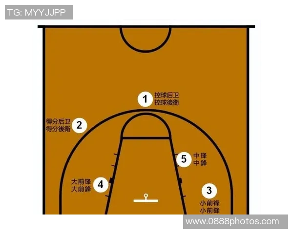 HBL篮球联赛精彩回顾与未来展望球员表现与战术分析全面解读