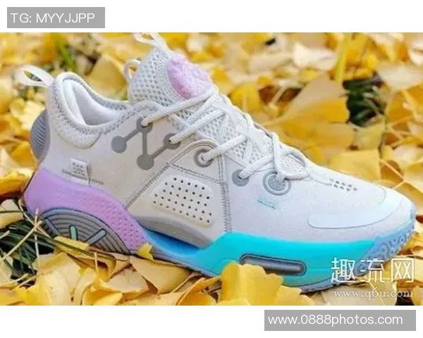 安踏与李宁篮球鞋选购指南如何根据需求与预算做出最佳选择